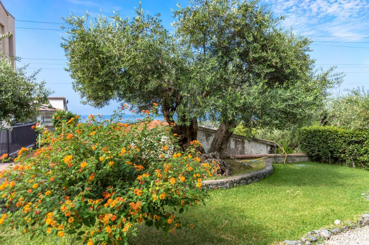 B&B Villa Degli Ulivi Praia a Mare Extérieur photo
